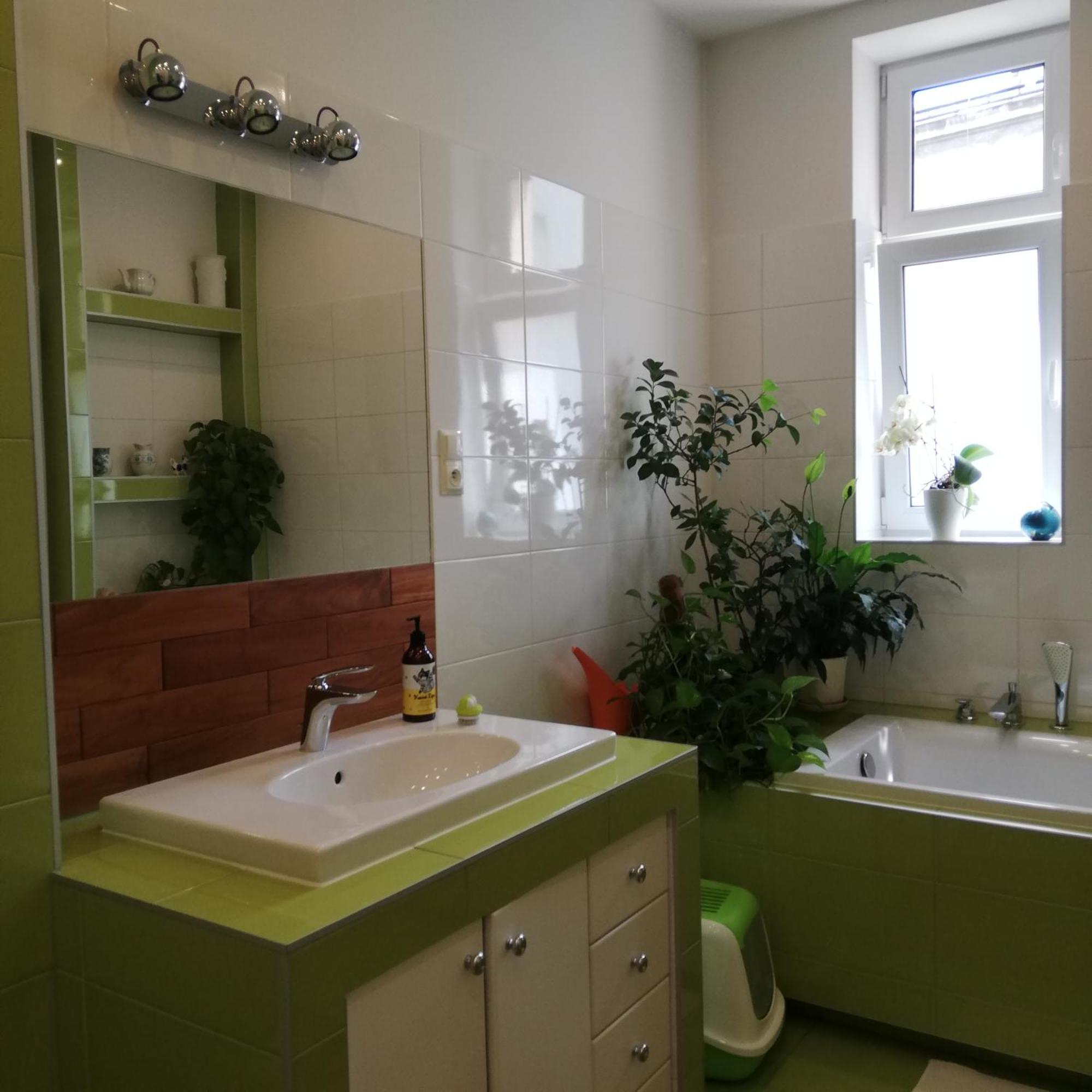 Botaniczny Pokoj Krakkó Kültér fotó